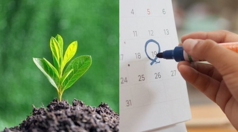 Efemérides Medioambiente 2025