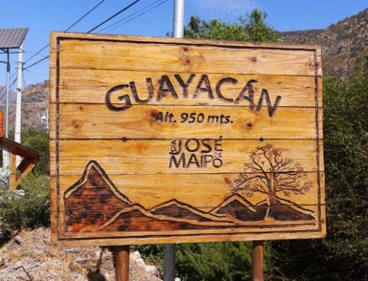 Guayacán, Cajón del Maipo