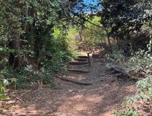 Venta de Sitio (Ejemplo)