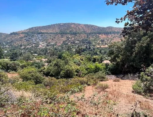 Venta de Sitio (Ejemplo)